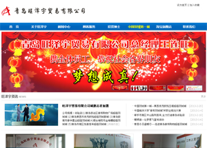 品牌网站建设