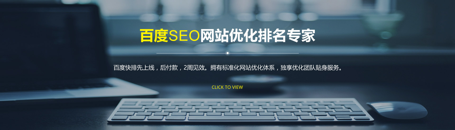 SEO整体解决方案技术